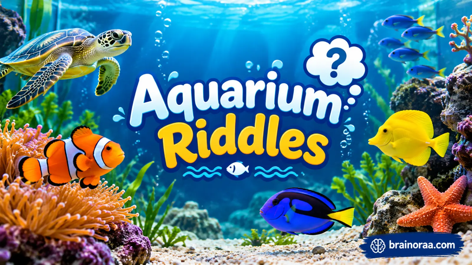 Aquarium Riddles