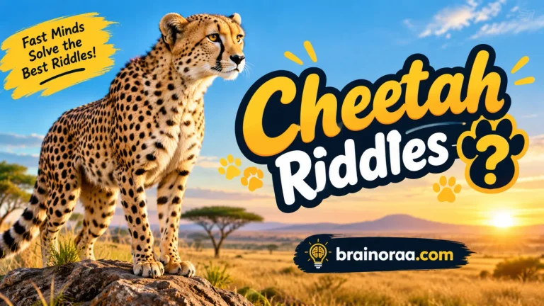 Cheetah Riddles