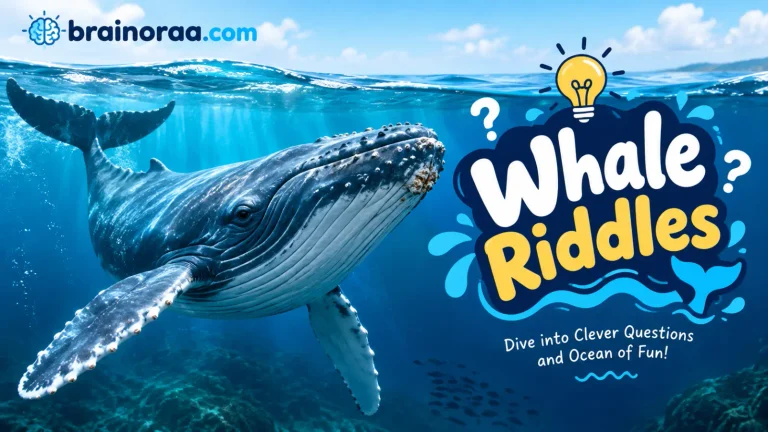Whale Riddles